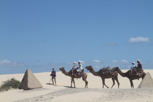 From cycling along coastal tracks to wildlife watching, here are 20 of the best reasons to visit Port Stephens.