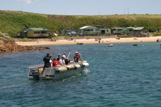 From cycling along coastal tracks to wildlife watching, here are 20 of the best reasons to visit Port Stephens.