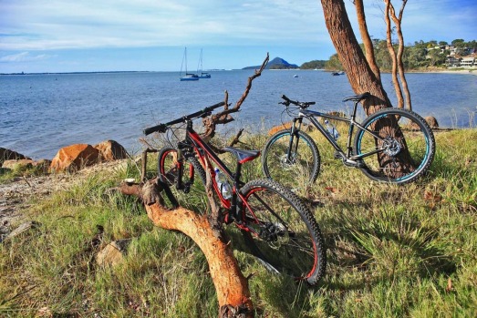From cycling along coastal tracks to wildlife watching, here are 20 of the best reasons to visit Port Stephens.