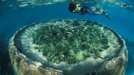 Sal Salis, Ningaloo Reef.