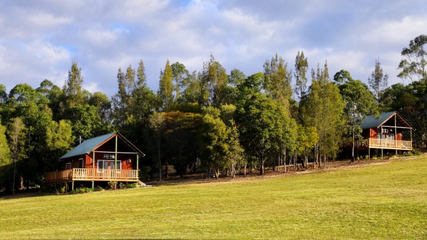 With plenty of space to roam, Mansfield on Manning's guestcan choose between two recently renovated cabins and a vintage ...