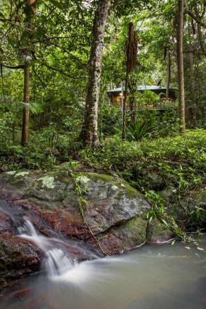 The rainforest setting of Narrows Escape.