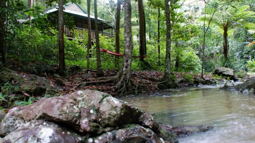 A rainforest cottage overlooks the creek.