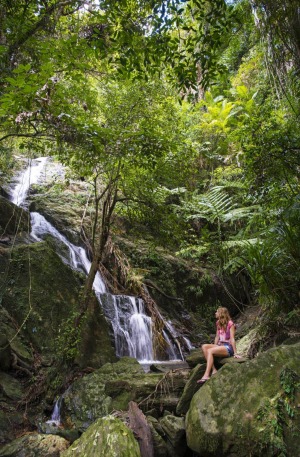 The Daintree teems with life.