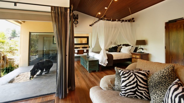 Jamala Wildlife Lodge: Only a reinforced glass window separates you from the wildlife if staying in jungle bungalows. ...