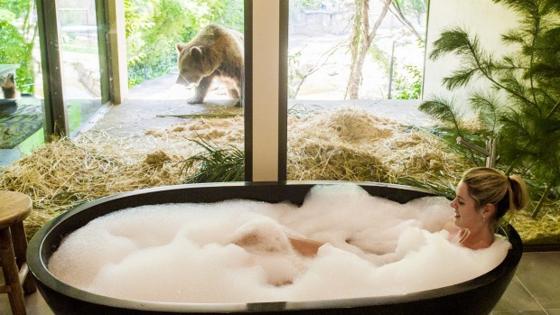 The bathroom in the Jungle Bungalow looks out into the bear enclosure.