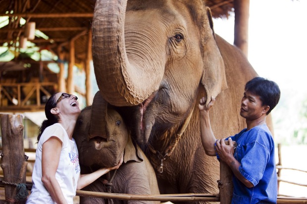 Want to practice yoga in the morning and hang out with elephants in the afternoon? At Anantara Golden Triangle Elephant ...