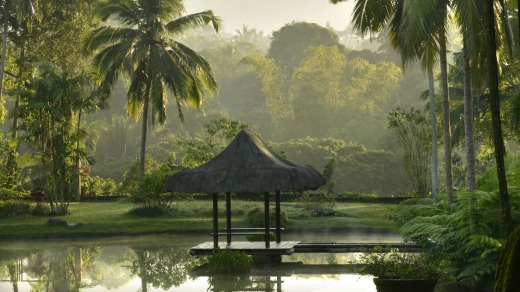 The lush beauty of The Farm at San Benito.