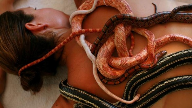 Squirm farm: a snake massage.