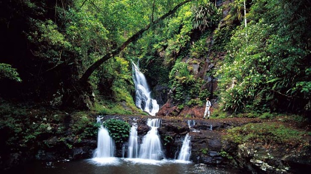 One of the many waterfalls in Lamington National Park.