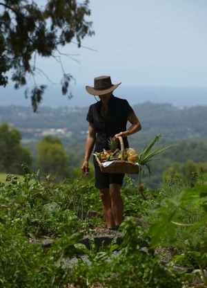All natural ... a gardener picks fresh, organic vegetables at Gwinganna.