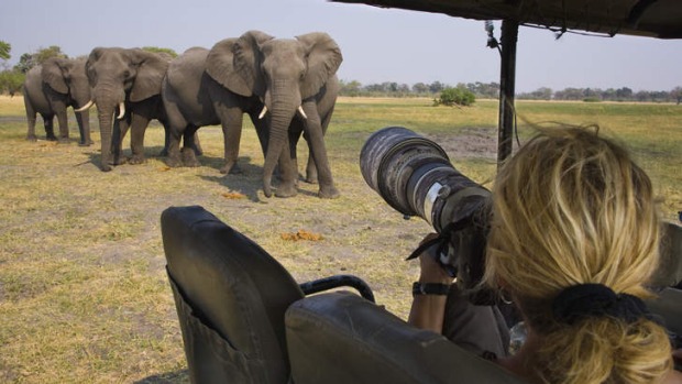 Close encounters: Wildlife can be readily caught by the eager snapper.