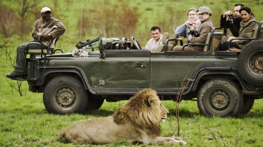 Guests on a game drive photographing an adult male lion. Savanna Private Game Lodge, Sabi Sand Game Reserve, bordering ...