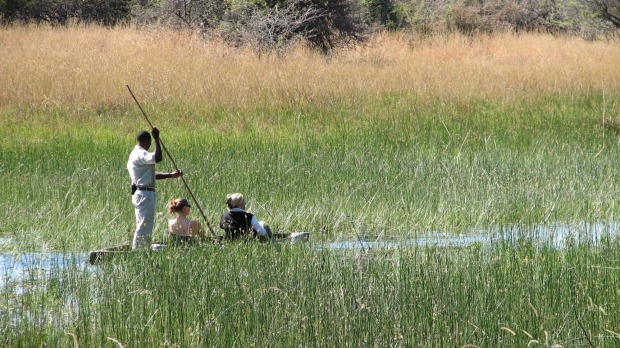 Mokoro Ride in Okavango Delta, Botswana.