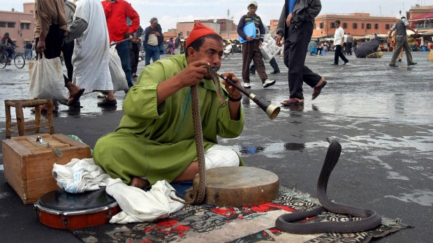 A Moroccan snake charmer plays music to a python in the old section of Marrakech in central Morocco.