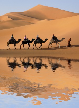 Camel caravan going along the lake the Sahara Desert, Morocco.