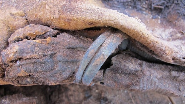 A hand from one of the ancient mummies.