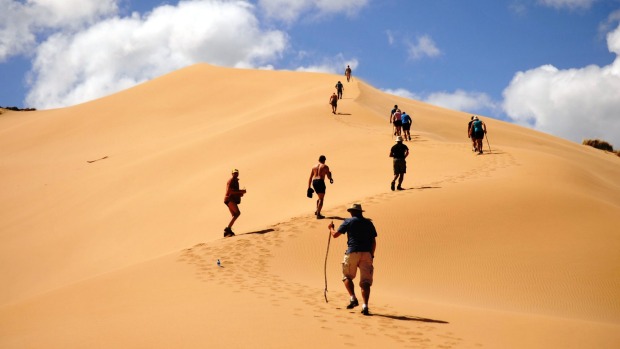 Snake-free: Traversing the sandhills.