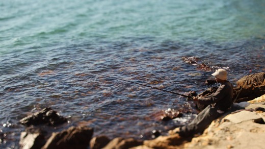 Fishing on the rocks at Knysna.