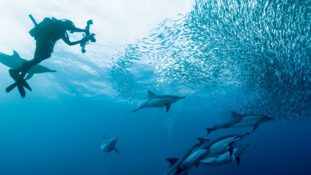 Leap of faith: Scuba diving.