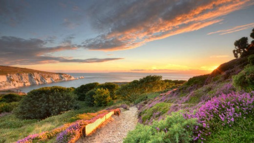 Head on Warren, Isle of Wight.