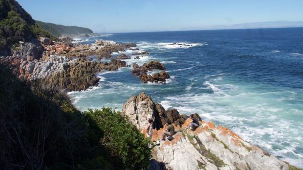 See it all: Tsitsikamma, an adventure playground.