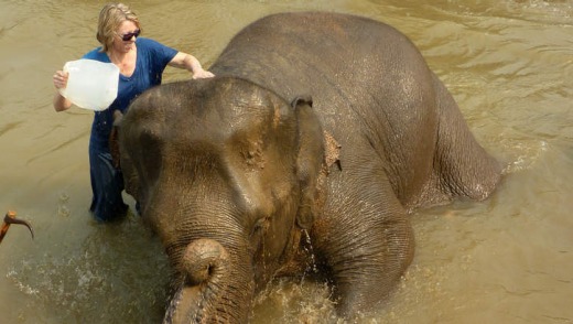 Working with elephants in Thailand's Anantara Golden Triangle.