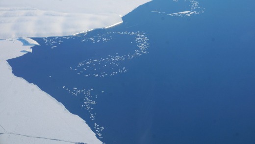Midnight flight: Ice bergs break off the Ross Ice Shelf, Antarctica on New Year's Eve.