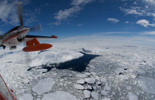 Down amongst the water, ice and snow, researchers lived at a base they called Oasis.