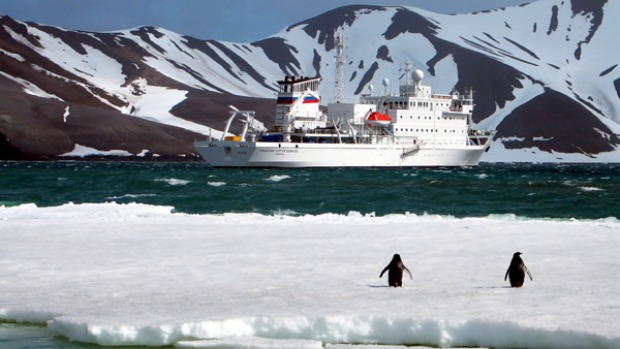 Penguins welcome the Peregrine Voyager to the Antarctic.