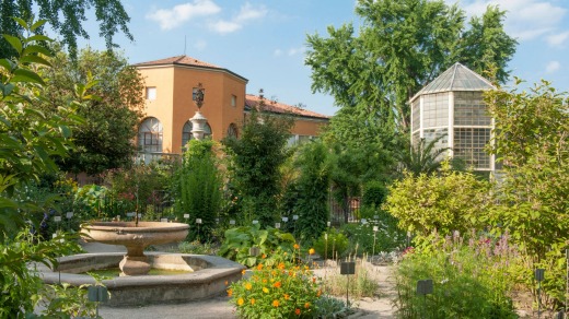 Padua's Orto Botanico, the world's oldest academic botanical garden, with (right) the greenhouse of the Goethe palm.