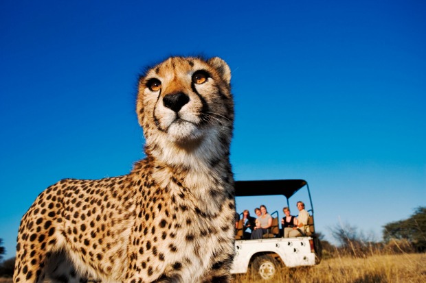 NAMIBIA: This is country is that's larger than France, and yet only 2.2 million people call it home. There are huge ...