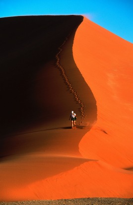 On the sand dunes, Namib Desert, Namibia.