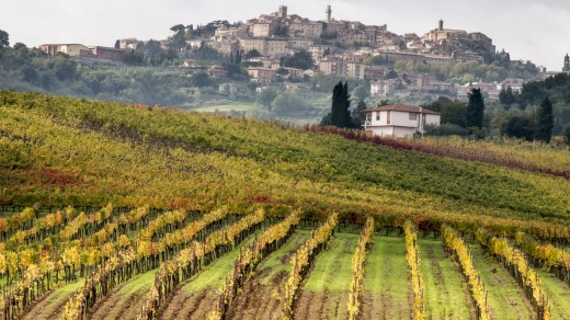 Colourful vineyards surround the medieval town of Montepulciano.