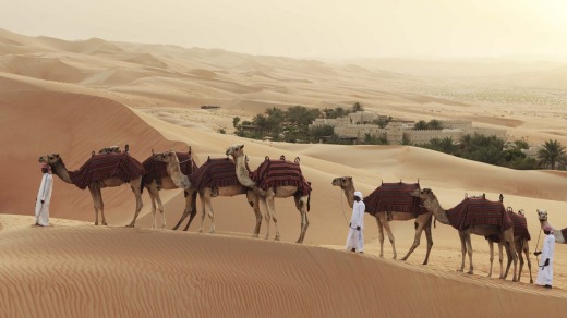 Camel tours shows guests the dunes at sunset.