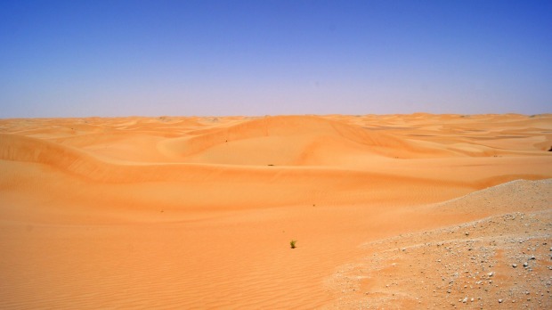 The desert. Bleak, unforgiving and spectacular.