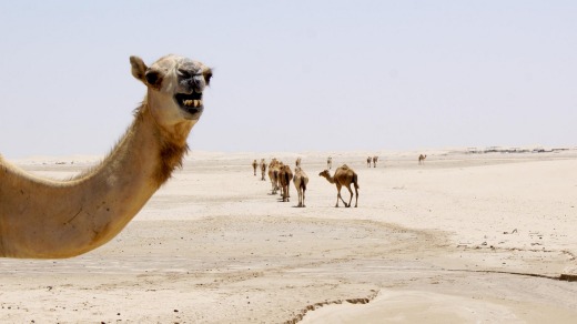 It only took 45 seconds to climb the dune, but it quickly taught a lesson about the intensity of the desert.