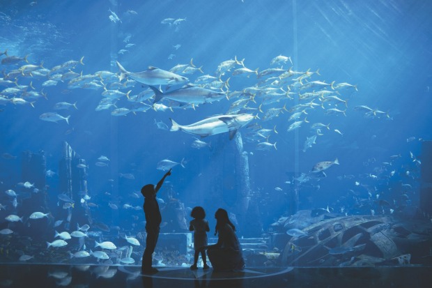 The Ambassador Lagoon at The Palm Atlantis in Dubai.