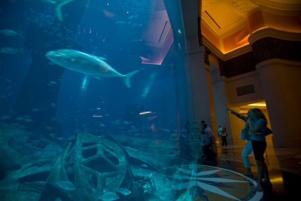 At Atlantis, this includes water thrills, a marine habitat and more than a dozen restaurants run by world-class chefs ...