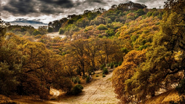 Jack London State Historic Park.