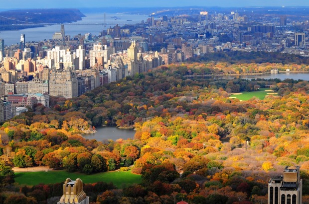 Central Park, New York: Drawing 42 million visitors each year, it's hardly shocking it's the ten most checked-in place ...