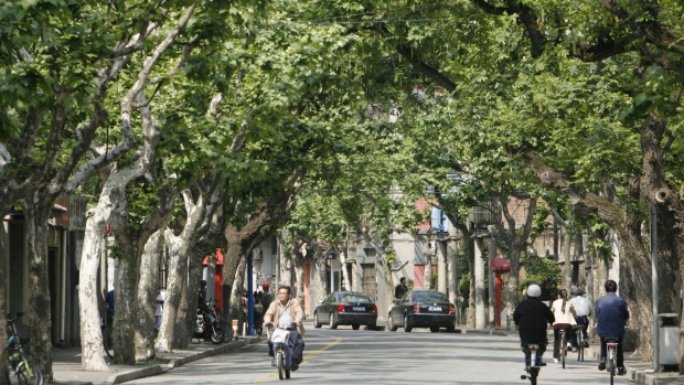 Riding in a sidecar through Shanghai's French Concession is bliss.