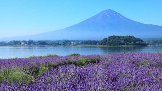 Fuji Five Lakes, Yamanashi Prefecture, Japan