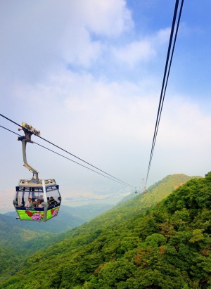 Bird's eye view: The new glass-bottomed Crystal Cabin cable car takes visitors to Lantau island, Hong Kong.