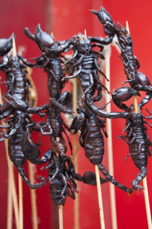 For the daring: Scorpions in a stick in a Beijing street market.