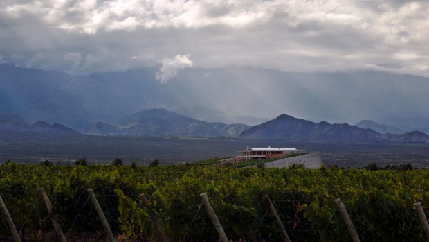 Clos de Los Siete, Uco Valley : The Uco Valley is the new frontier of Argentina wine regions, a cool-climate area ...