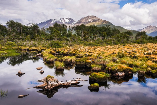 The Arakur sits within a private nature reserve.