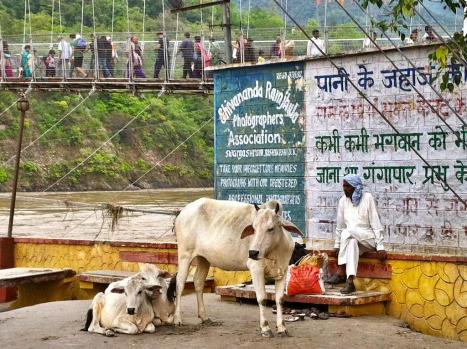 Rishikesh is a must for spiritual seekers. It's the home of yoga and where The Beatles found enlightenment, which means ...