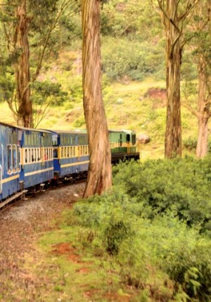 The Nilgiri mountain train.