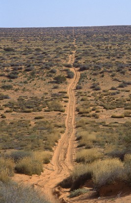 Driving in the heart of Australia: here are few greater ways to know you're alive than negotiating the vast stretches of ...